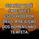 FernandaMill_star323