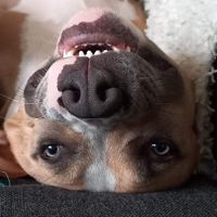 Zkiifyy