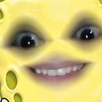 LilyRo7