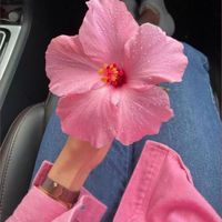 🌹⃝⃟✿ﮩ٨ـﮩﮩ٨ـ♡ﮩ٨ـﮩ🌹⃝⃟✿