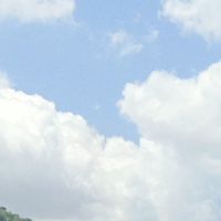 Nchanted