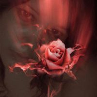 💫🎀Amelia✨Rose🎀🕊🌵💫