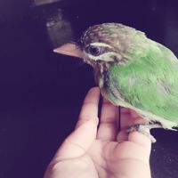 🕊꧁മണിക്കുട്ടി🔔꧂❤️🕊