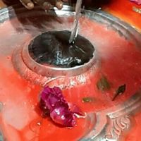 Chaurasia23901046