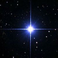 Risingstar38457568