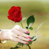 🍂HOÀNG🍂HOA💔💜❤🧡🤍🖤