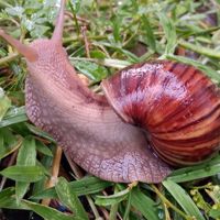 IMnotAsinger03121991