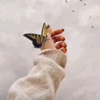 ‏‪rahoomee‬‏