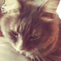 Kimberl_star84227564