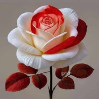 मोहम्मदअजीमुद्दीन_123456