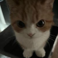 sirthful_mlug