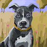 Madison_star84746950