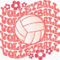 Urfav_volleyballgirl