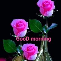 Priyank_star36867202
