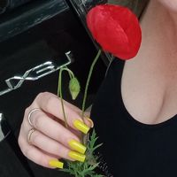 ❥⃝∗.🌼🇸 🌼❥⃝**