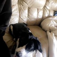 DeclanLovegrove