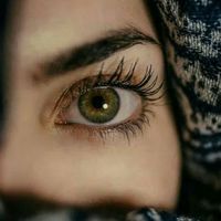 ملكه🌹🌹القلوب
