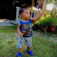 Akak_Panda*star373