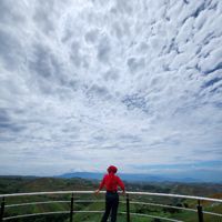 rien_lutfia