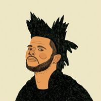 mcflaixo