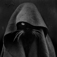 blackwitch__