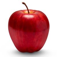 🍎Red.Apple🍎