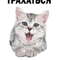 викитосыч