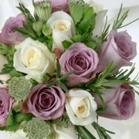 Hayat__star791