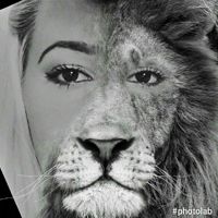 loulion
