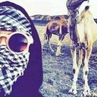 🇵🇸🤝🇩🇿‌Isℓαм😎Zα3ίм🇩🇿🎩