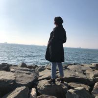 Müziksevdalısı
