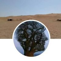 TaTaIShLaW