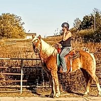 EmiliaFosterWilder🐎