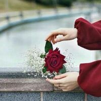 aysenur_star733
