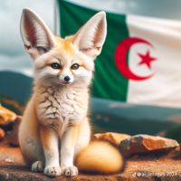 🔥🇩🇿aimade🇵🇸‬🔥