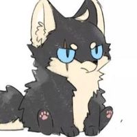M.M_lobit0