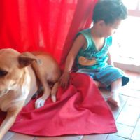 GuilhermeSalva