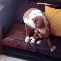 itzel_star607
