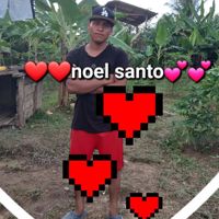 noel_santo