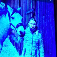 Amyflami