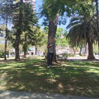 FrancoG_star25mp