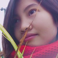 🎀🎀🎀🎀🇻🇳