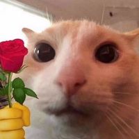 AnnhLa_nn