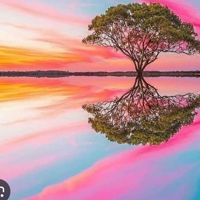 Ashley_Nicol_star701