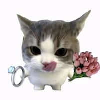 神秘人111