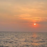 Jannell_star581