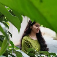 Tintu_Sunny
