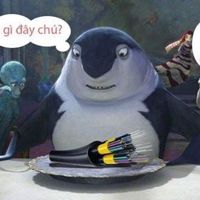 😥Cá_Mập_Con_cô_đơn😭
