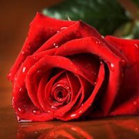 ꧁Chiranjeeb_Sen꧂⚽💕🎶🎤