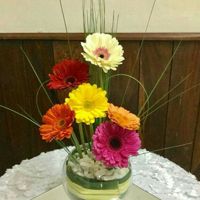 Natalicruz_Lau